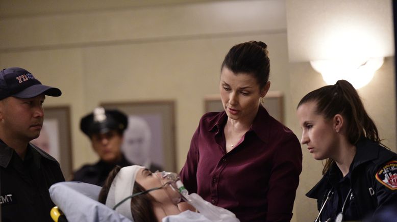 Blue Bloods - Crime Scene New York