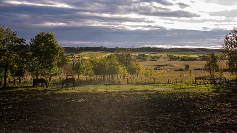 Heartland - Paradies für Pferde