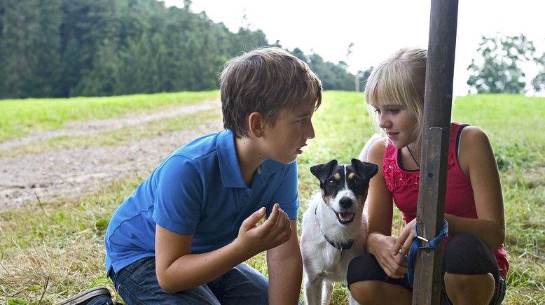 Tiere bis unters Dach