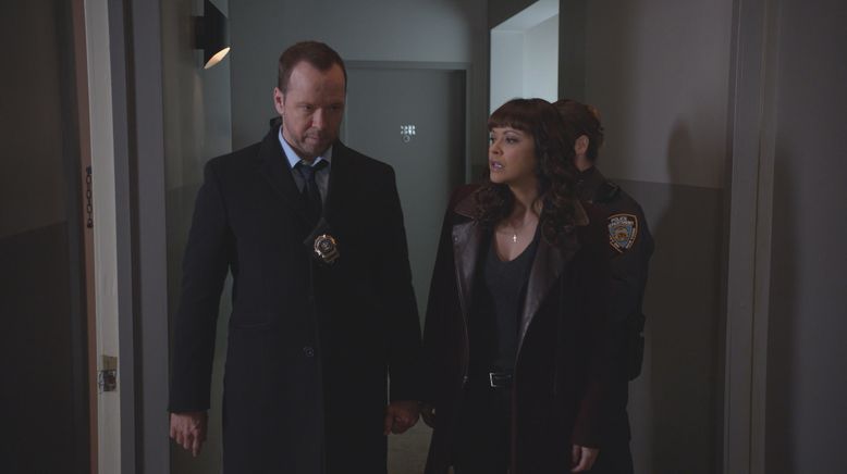 Blue Bloods - Crime Scene New York