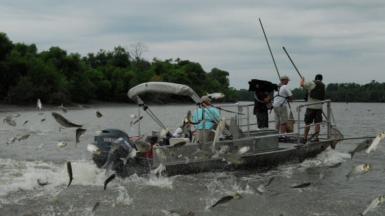 Auf der Suche nach dem Monsterfisch