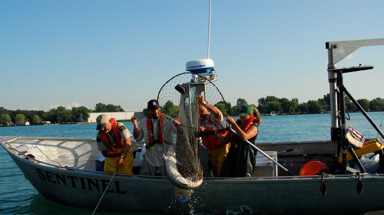 Auf der Suche nach dem Monsterfisch