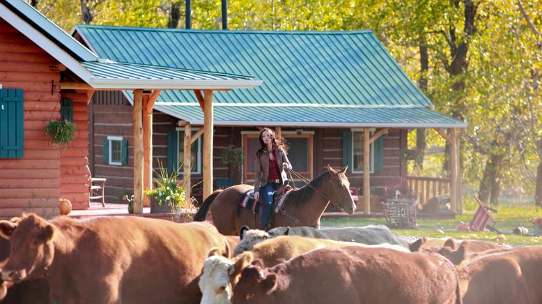 Heartland - Paradies für Pferde