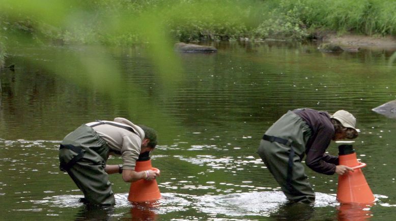 La ligne de partage des eaux