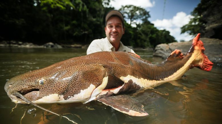 Auf der Suche nach dem Monsterfisch