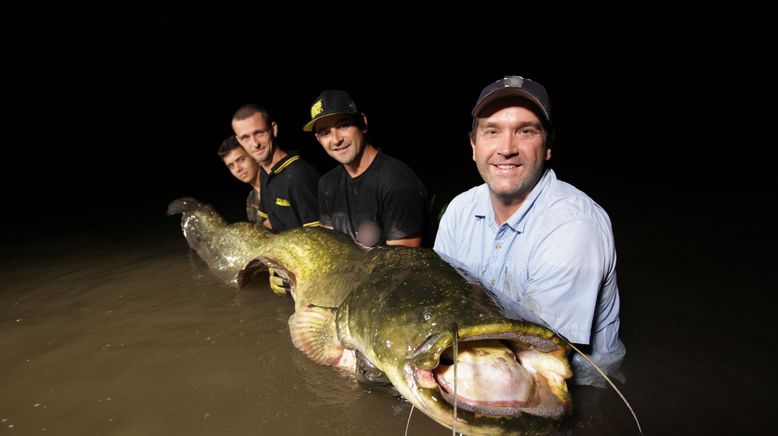 Auf der Suche nach dem Monsterfisch