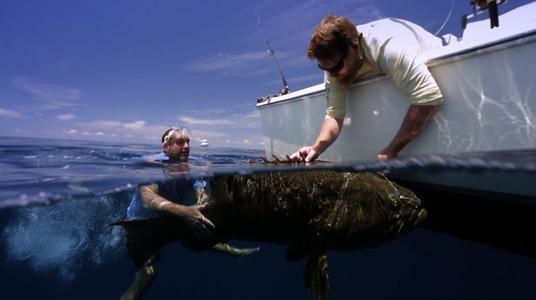 Auf der Suche nach dem Monsterfisch