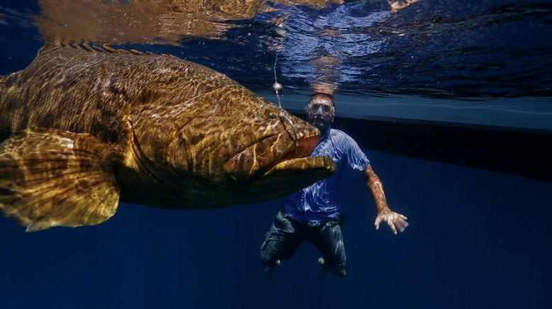 Auf der Suche nach dem Monsterfisch