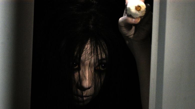 Der Fluch - The Grudge