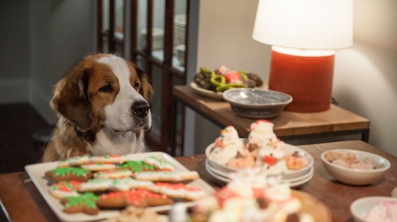 Alle Jahre wieder - Weihnachten mit den Coopers