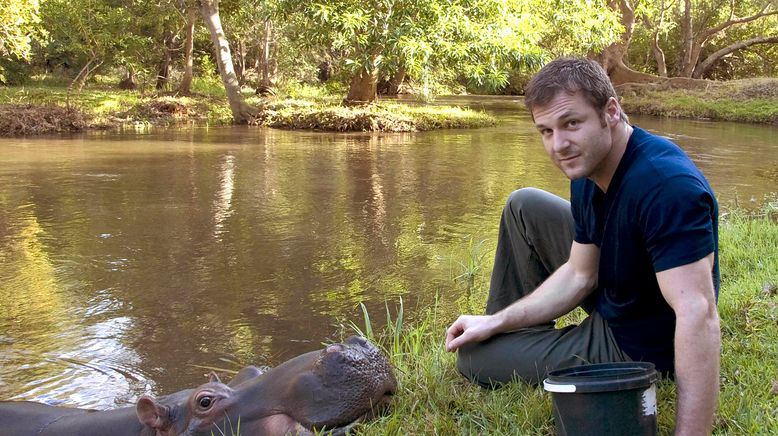 Dave Salmoni: Die Löwen von Sabi Sand