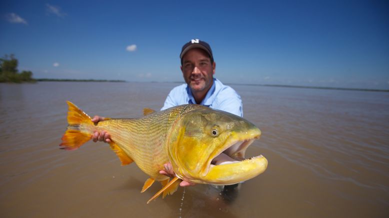 Auf der Suche nach dem Monsterfisch