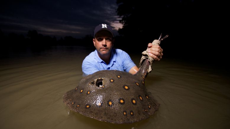 Auf der Suche nach dem Monsterfisch