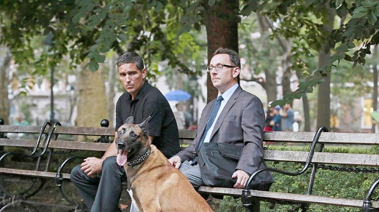 Person of Interest