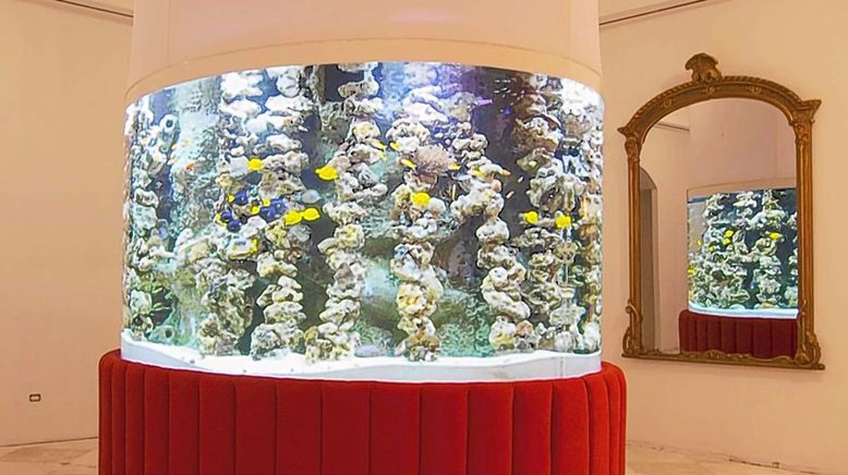 Fish Tank Kings - Gigantische Wasserwelten