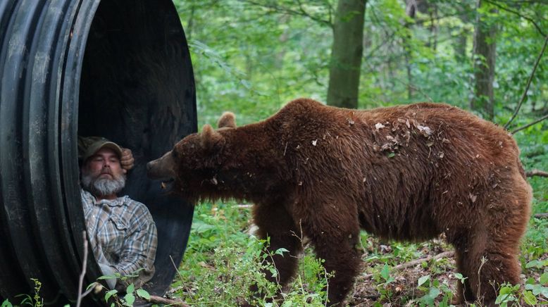 Das Grizzly-Projekt