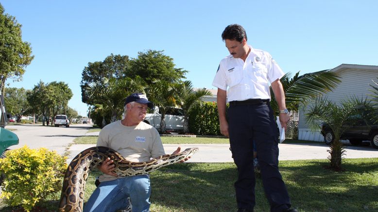 Tierpolizei Miami