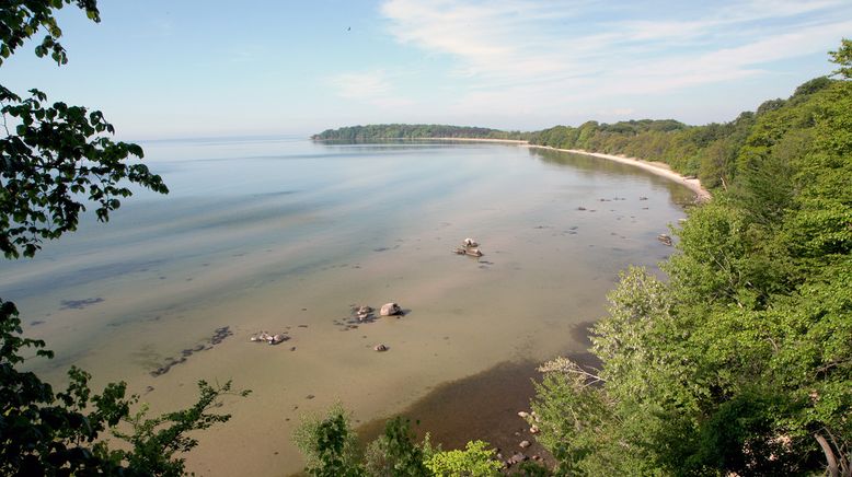 Wilde Ostsee