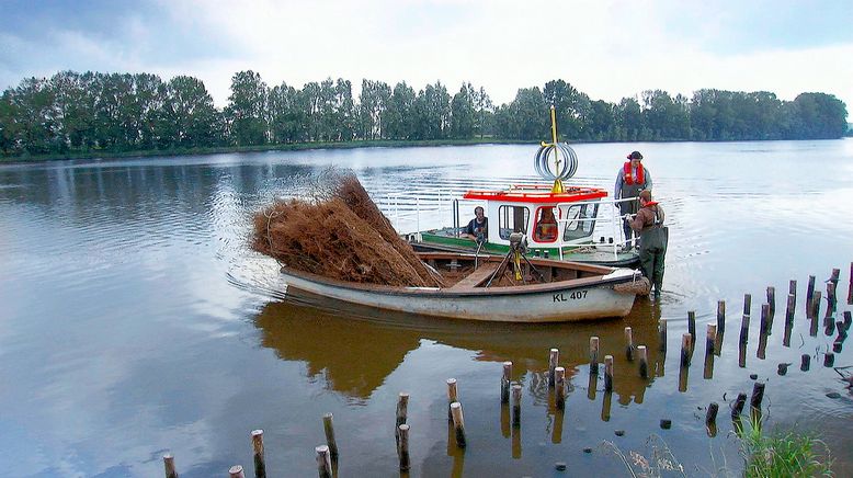 Land im Gezeitenstrom