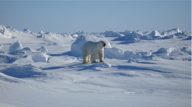 Arktis - ein Junge wird Jäger