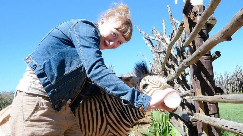 Paula und die wilden Tiere