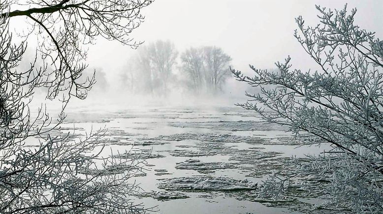 Wilde Heimat