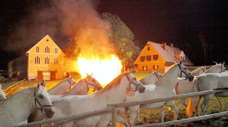 Das Glück dieser Erde