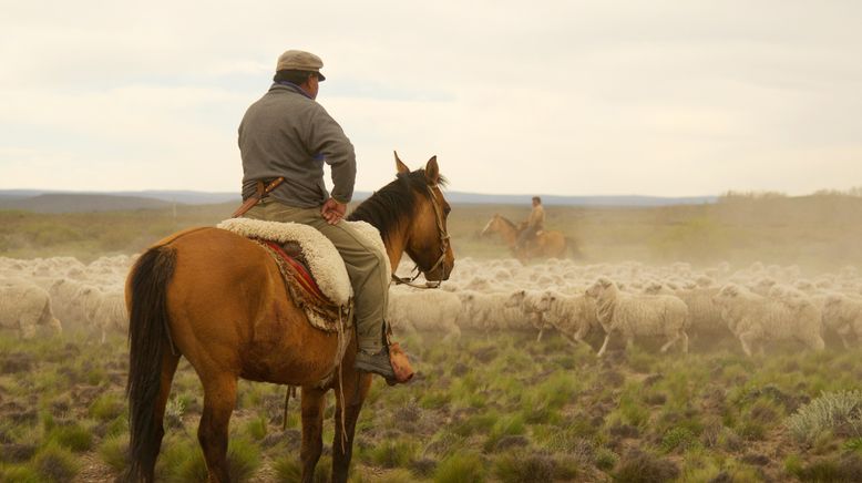 Wildes Patagonien