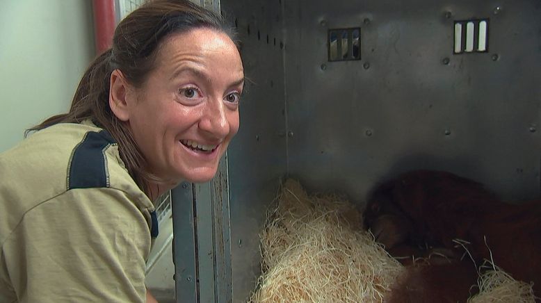 Frau Doktor und die wilden Tiere