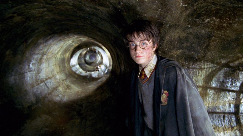 Harry Potter und die Kammer des Schreckens