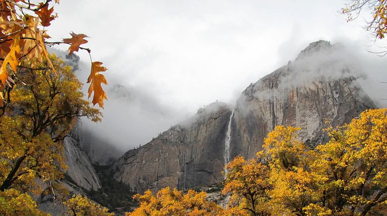 Amerikas Nationalparks