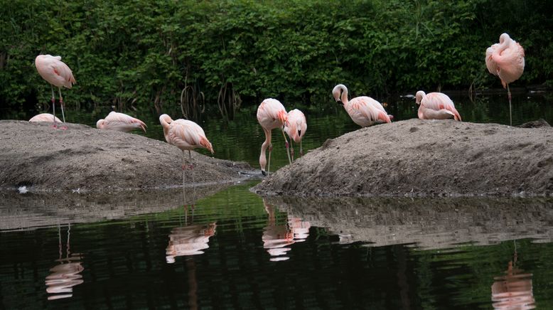 Bronx Zoo - Tierpark der Superlative