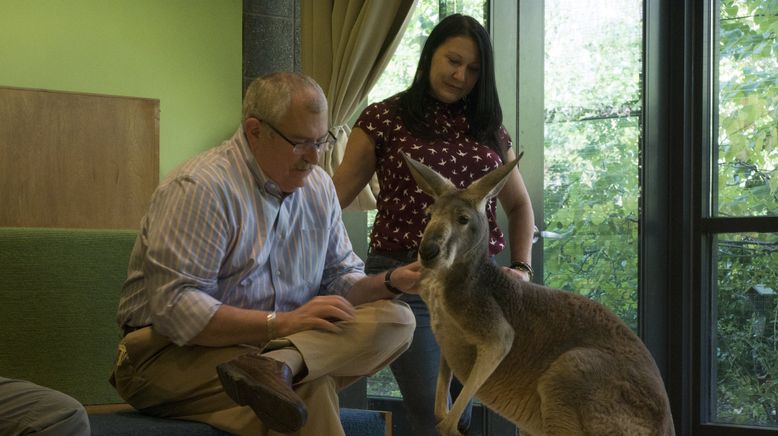 Bronx Zoo - Tierpark der Superlative