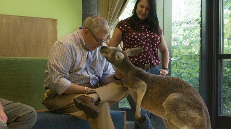 Bronx Zoo - Tierpark der Superlative