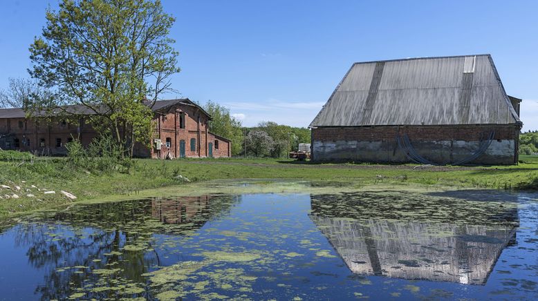 Fixer Upper - Umbauen, einrichten, einziehen!