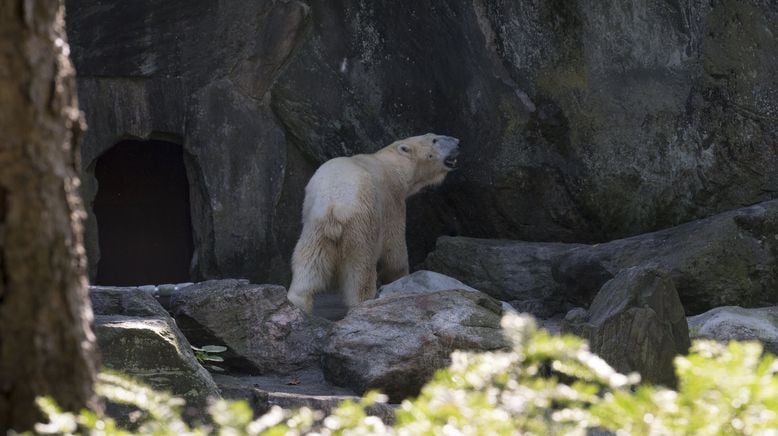 Bronx Zoo - Tierpark der Superlative