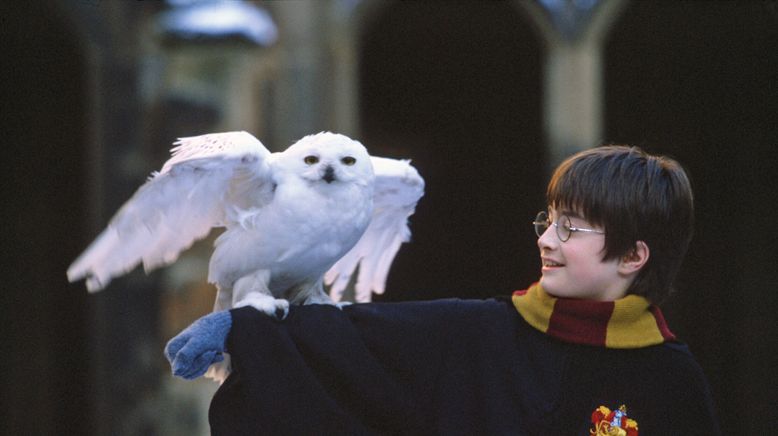 Harry Potter und der Stein der Weisen