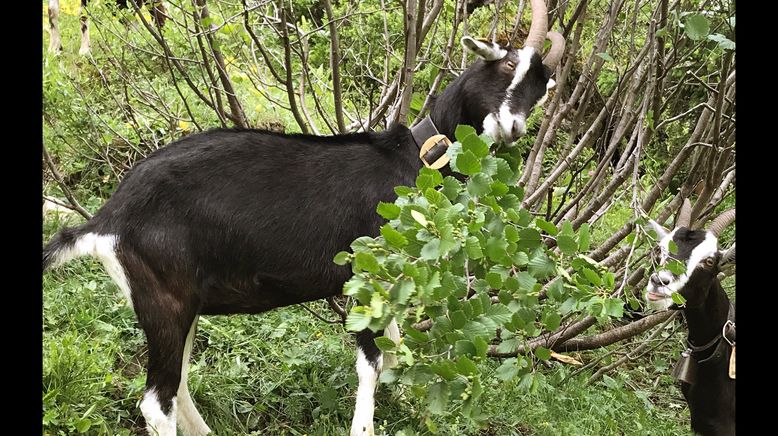 Naturparadiese mit Zukunft