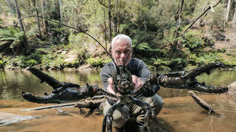 Dark Waters mit Jeremy Wade