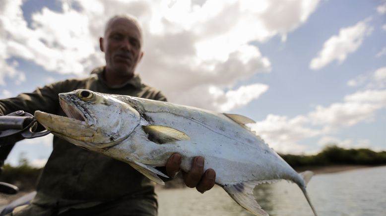 Dark Waters mit Jeremy Wade