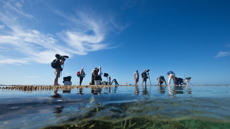 David Attenboroughs Great Barrier Reef