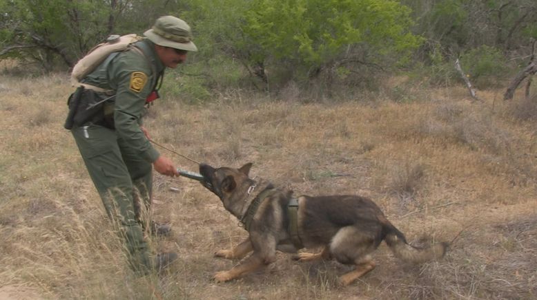 Amerikas heiße Grenze: Die Hundestaffel