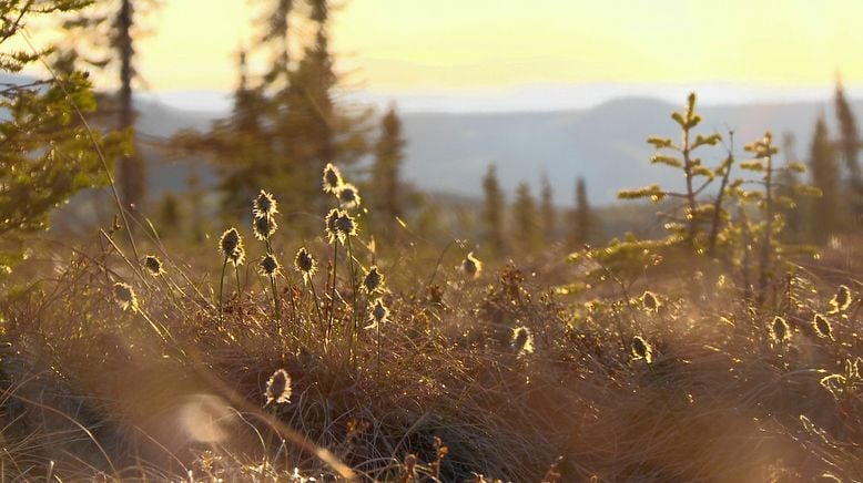 Yukon Men - Überleben in Alaska