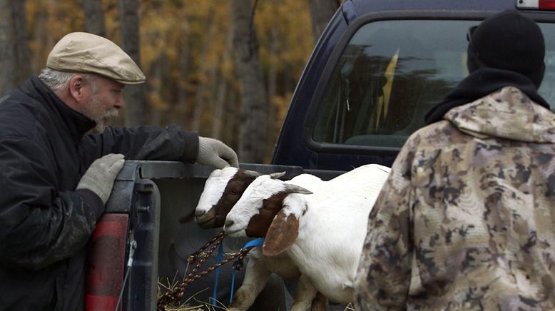 Yukon Men - Überleben in Alaska