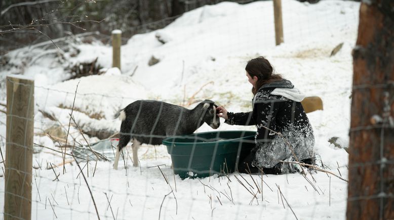 Alaskan Bush People