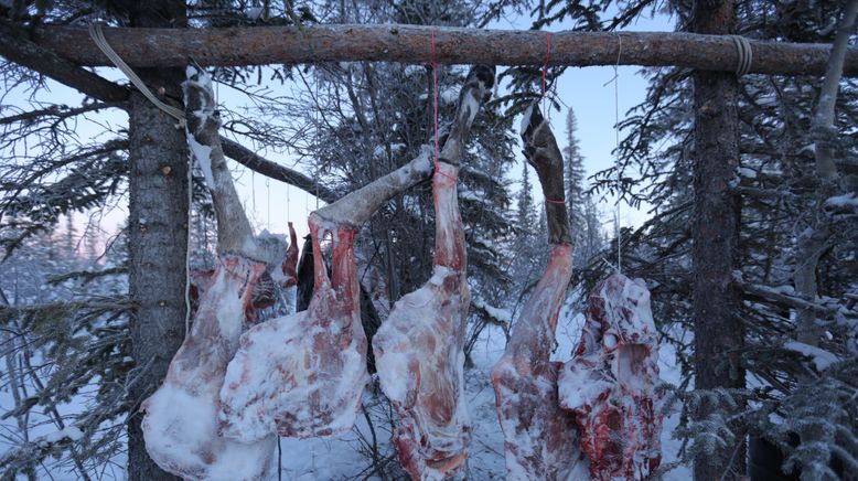 Nordalaska - Überleben am Polarkreis