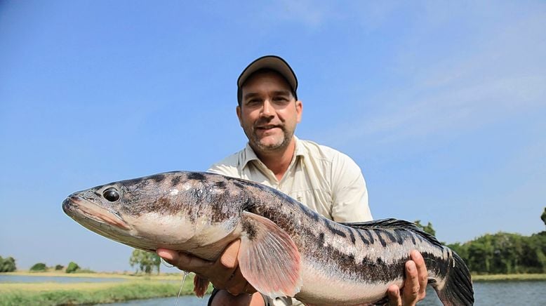 Auf der Suche nach dem Monsterfisch