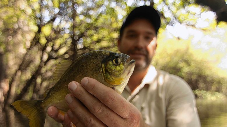 Auf der Suche nach dem Monsterfisch