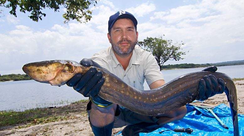 Auf der Suche nach dem Monsterfisch