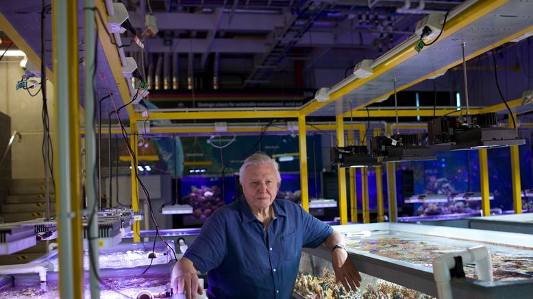 David Attenboroughs Great Barrier Reef